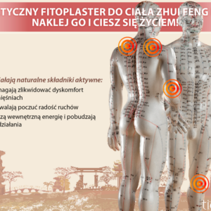 Plastry na zatoki, bóle głowy, bóle mięśniowe „Zhui Feng Forte” Medycyna chińska